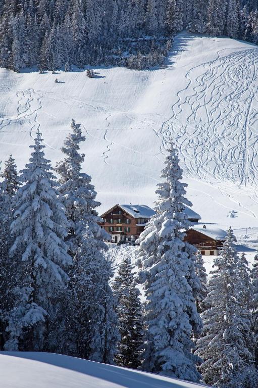 Hotel Des Alpes Adelboden Exterior photo